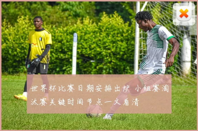 世界杯比赛日期安排出炉 小组赛淘汰赛关键时间节点一文看清